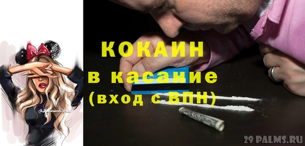 прущие грибы Алзамай