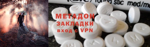 прущие грибы Алзамай