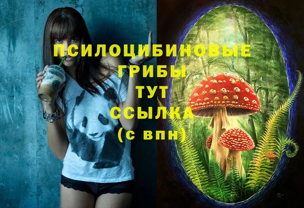 скорость Алексин