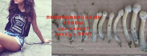 прущие грибы Алзамай