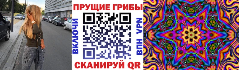 Псилоцибиновые грибы прущие грибы  Бердск 